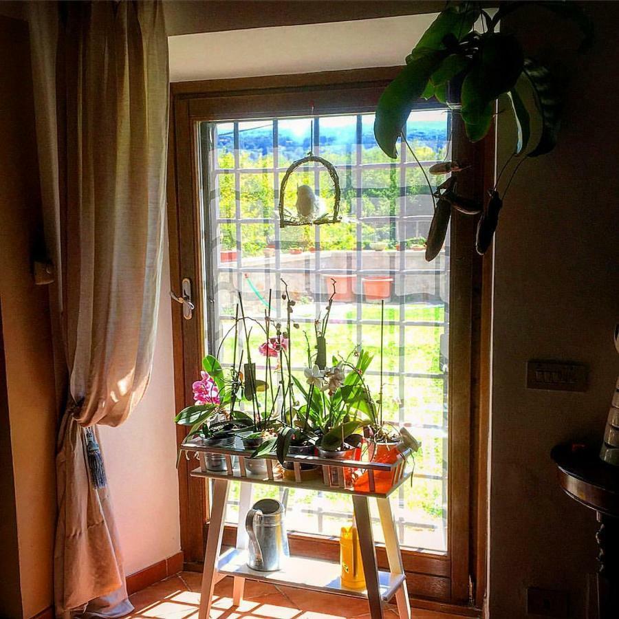 Turistico Vigna Clara Homestay Viterbo